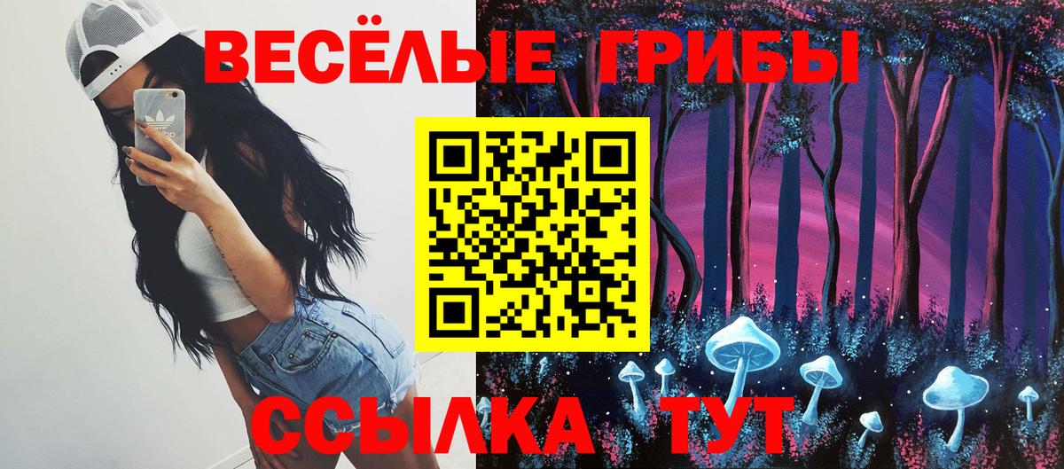 Псилоцибиновые грибы Psilocybine cubensis Лосино-Петровский