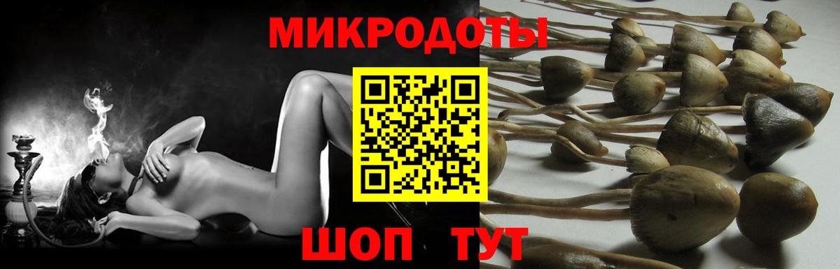 Лосино-Петровский  Псилоцибиновые грибы Cubensis  Вход с VPN  Псилоцибиновые грибы ЛСД 